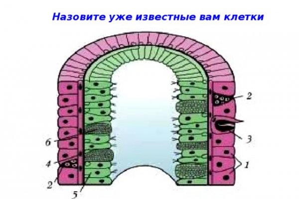 Кракен это современный даркнет маркет