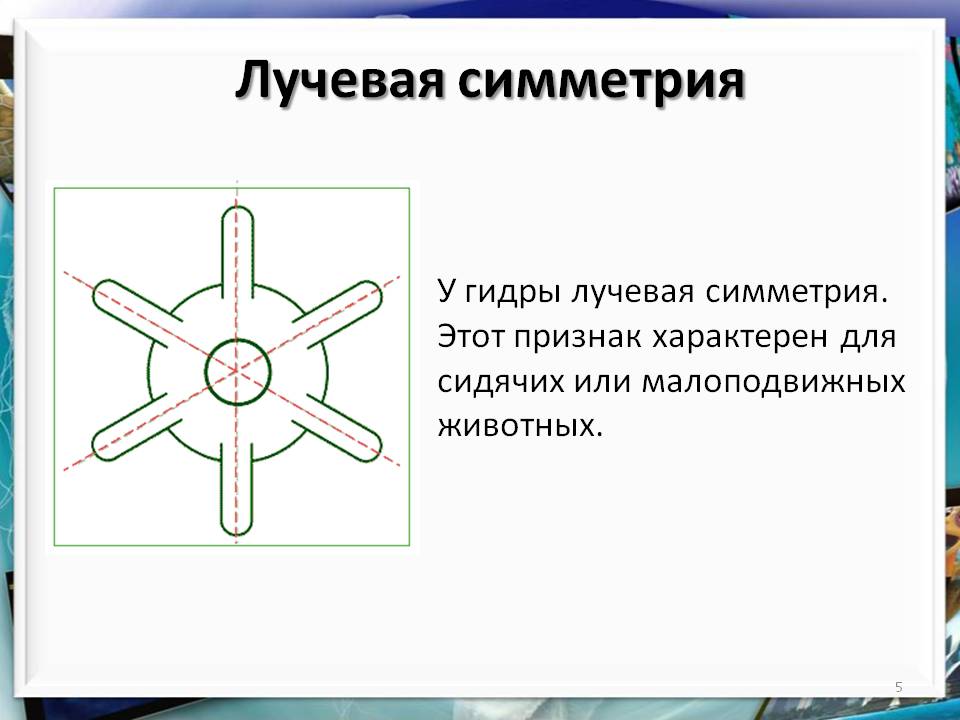 Кракен шоп даркнет