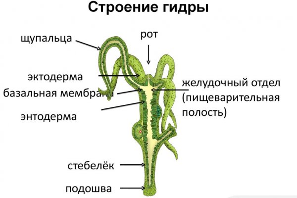 Кракен ссылка gigageek ru