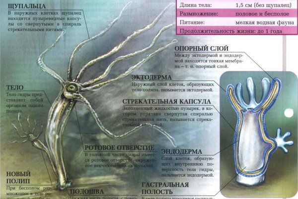 Кракен это современный даркнет маркетплейс