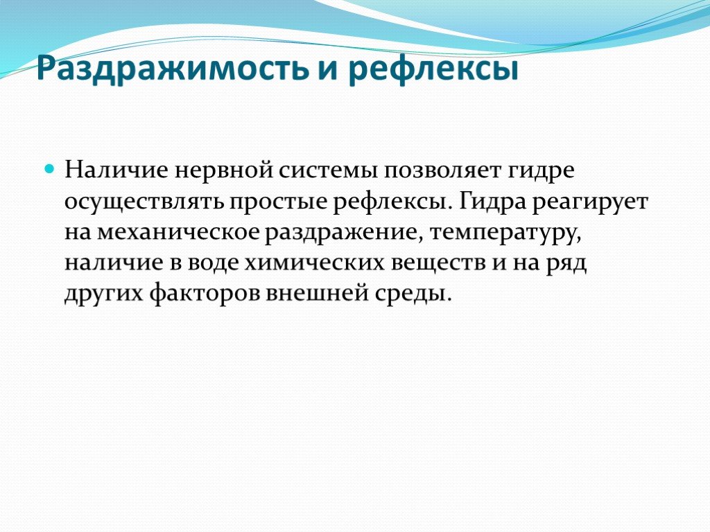 Кракен маркет даркент только через тор