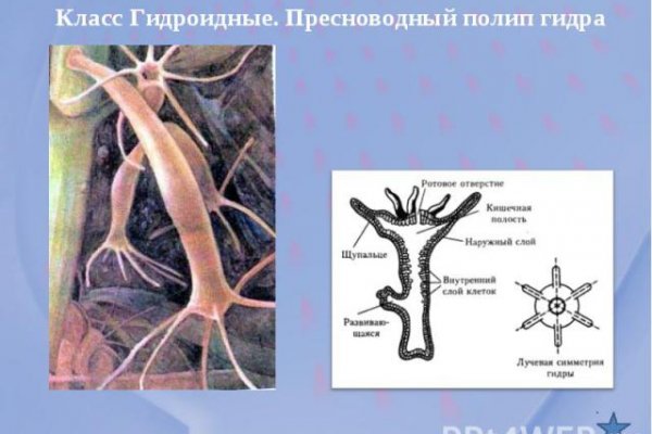 Кракен сайт маркетплейс